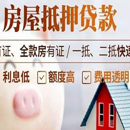 浔阳贷款助贷公司新渝启服成立时间久